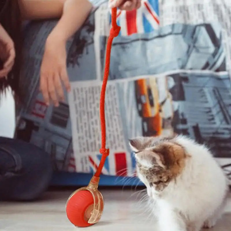 Interactive Cat Ball Toy - 3 Modes, Rechargeable Smart Rolling Ball with Faux Tail