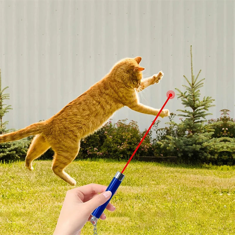 Mini Cat & Dog Laser Pointer Toy - 4mW Red LED Light Training Pen