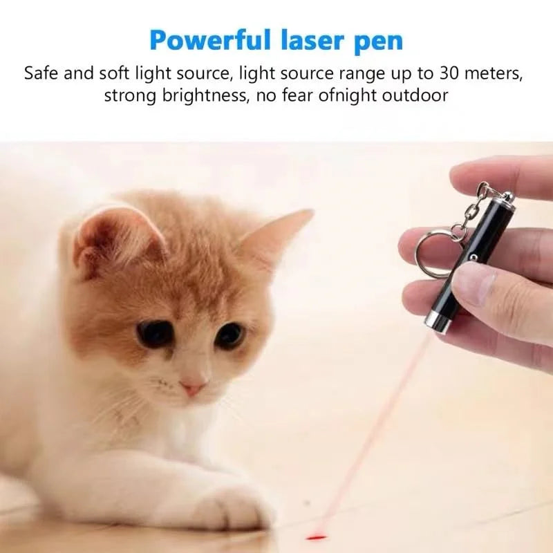 Mini Cat & Dog Laser Pointer Toy - 4mW Red LED Light Training Pen