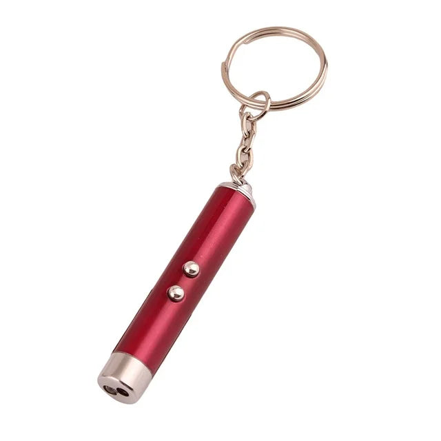 Mini Cat & Dog Laser Pointer Toy - 4mW Red LED Light Training Pen